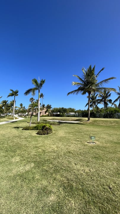 Gartenanlage Catalonia Royal Bavaro - Adults only