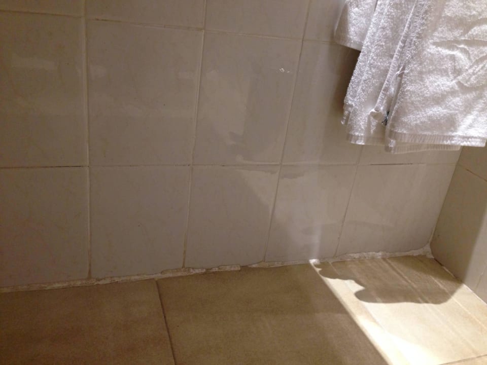 Silikon verschimmelt Globales Bouganvilla