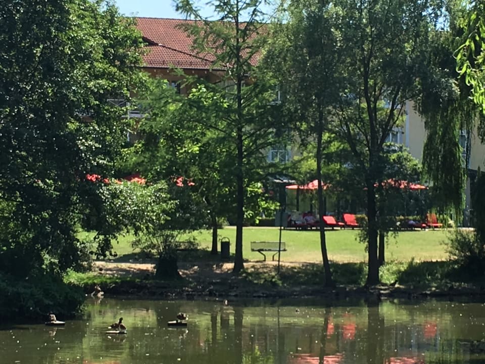 Blick zum Hotel MAXX by Steigenberger Deidesheim