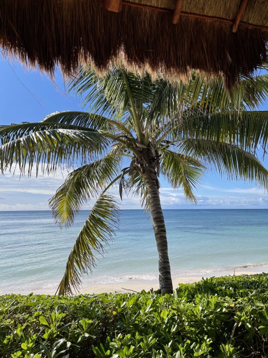 Strand Akumal Bay Beach & Wellness Resort