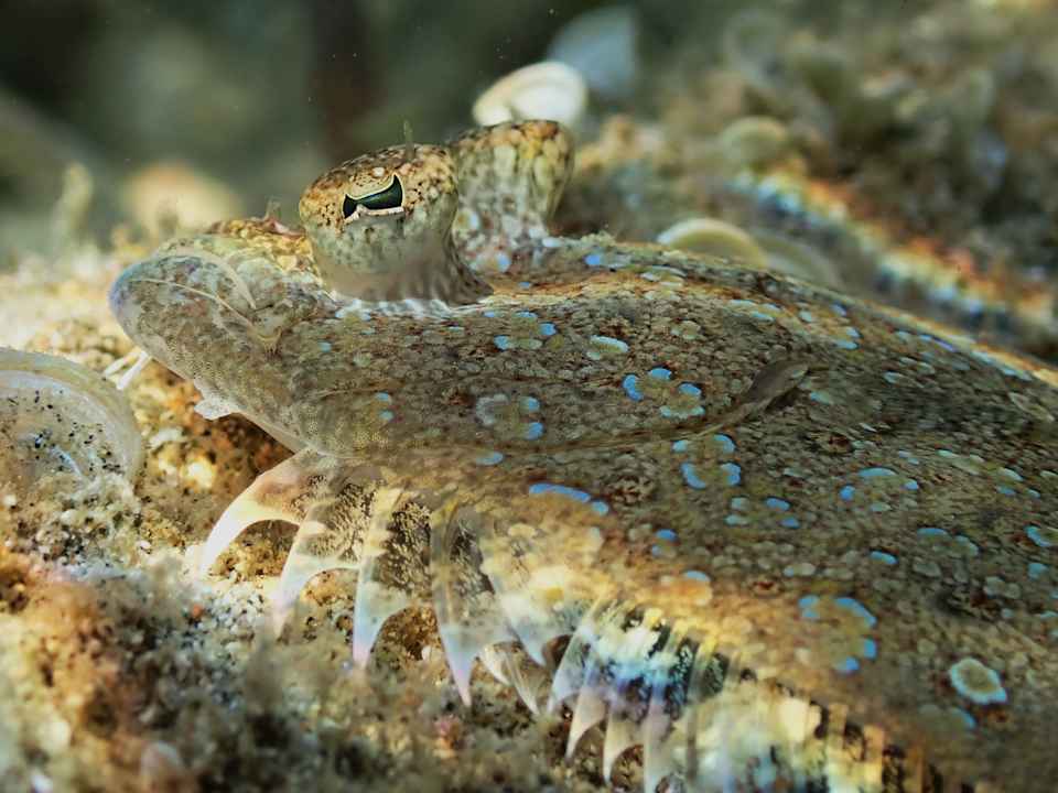 Sport & Freizeit Shams Alam Beach Resort