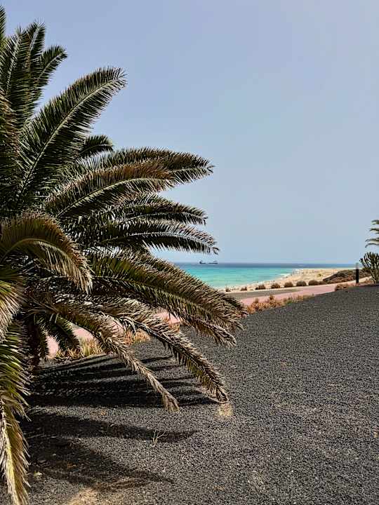 Strand Iberostar Waves Gaviotas Park