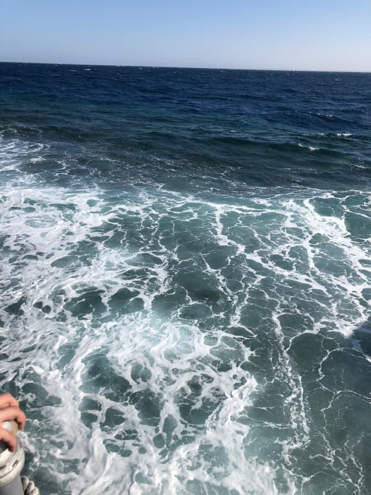 Strand Pickalbatros Royal Moderna Resort-Sharm El Sheikh