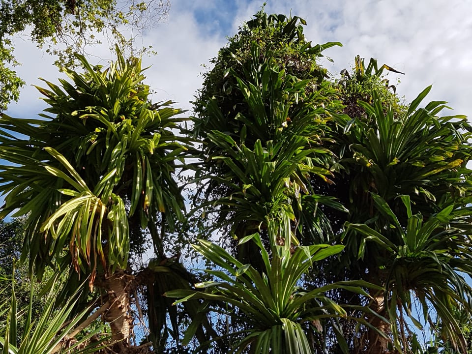 Sonstiges Sunscape Puerto Plata