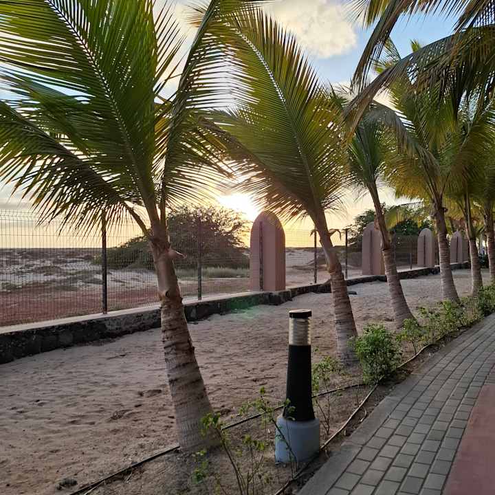 Gartenanlage Hotel Riu Funana