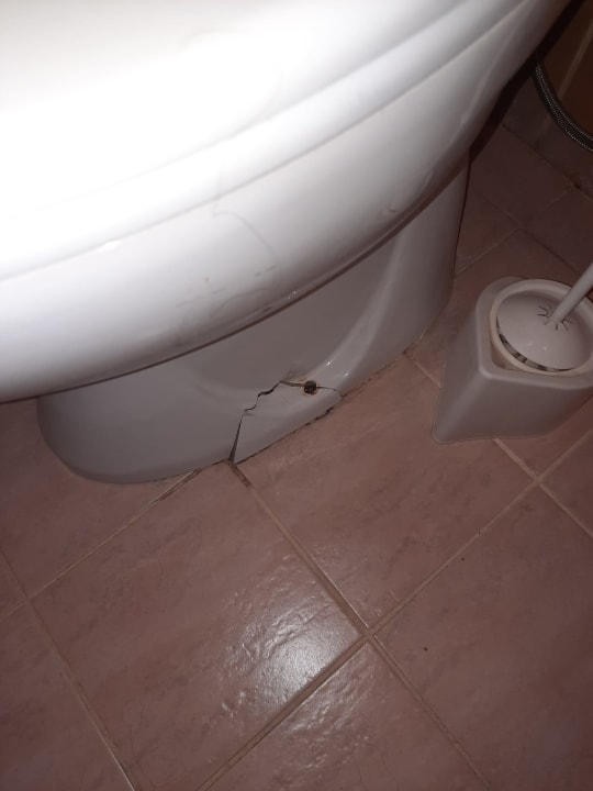 Zimmer Kleopatra Balik