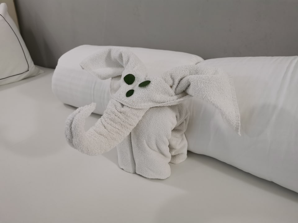 Zimmer Can Garden Beach