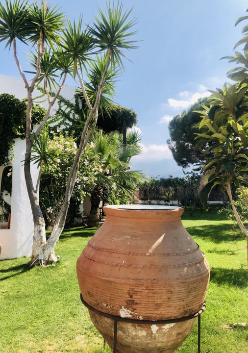 Gartenanlage Kalypso Hotel