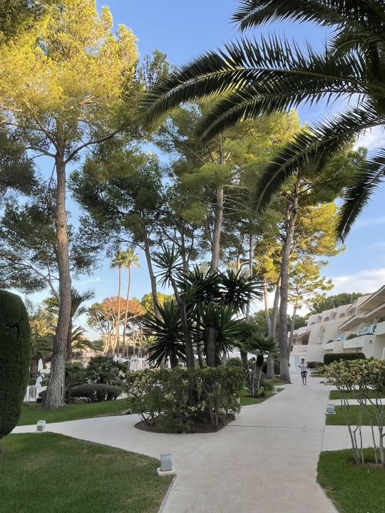 Gartenanlage Iberostar Waves Pinos Park