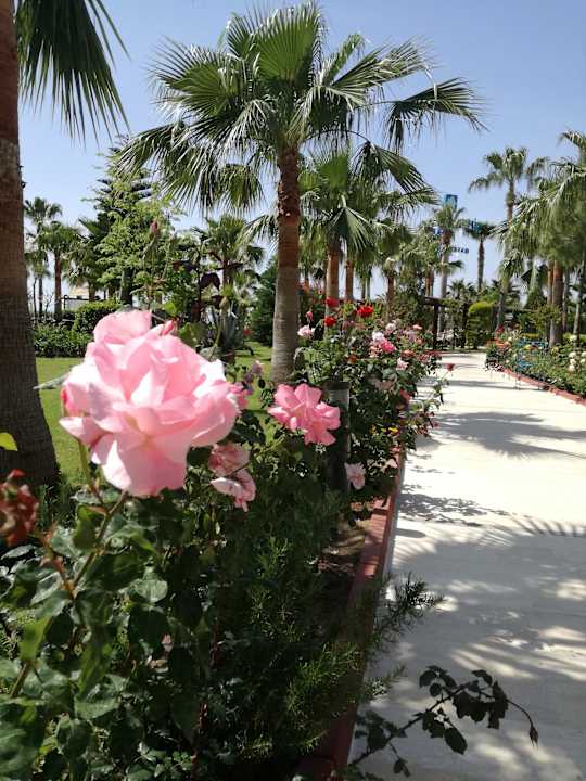 Gartenanlage Saphir Resort & Spa