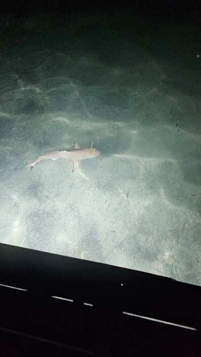 Sport & Freizeit Adaaran Select Hudhuran Fushi - Premium All Inclusive