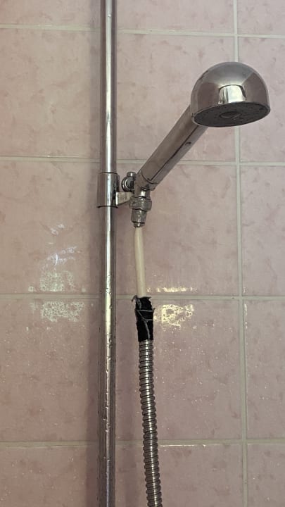 Zimmer Hotel Waldhorn