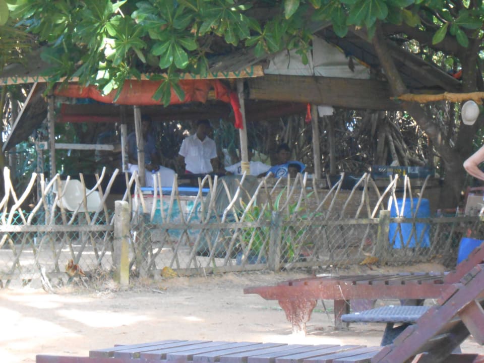 Strandboy´s Hotel Club Bentota
