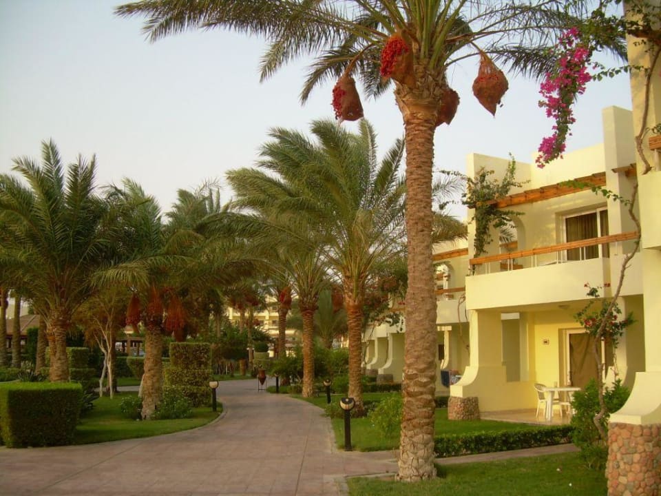 Ogród Palm Beach Resort