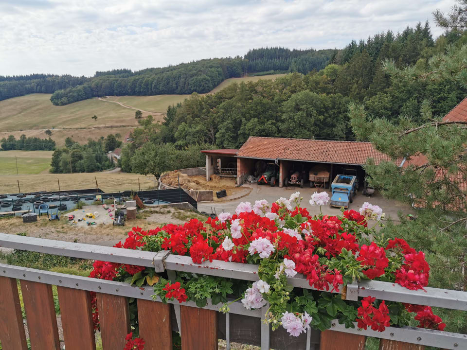 Ausblick Ferienwohnungen Waldscheerhof
