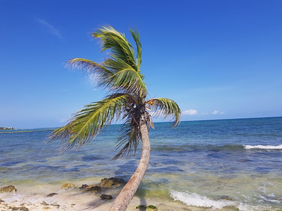 Strand Akumal Bay Beach & Wellness Resort