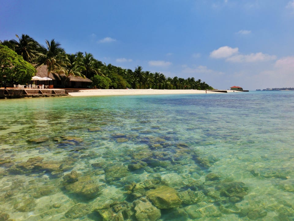 Bar Summer Island Maldives