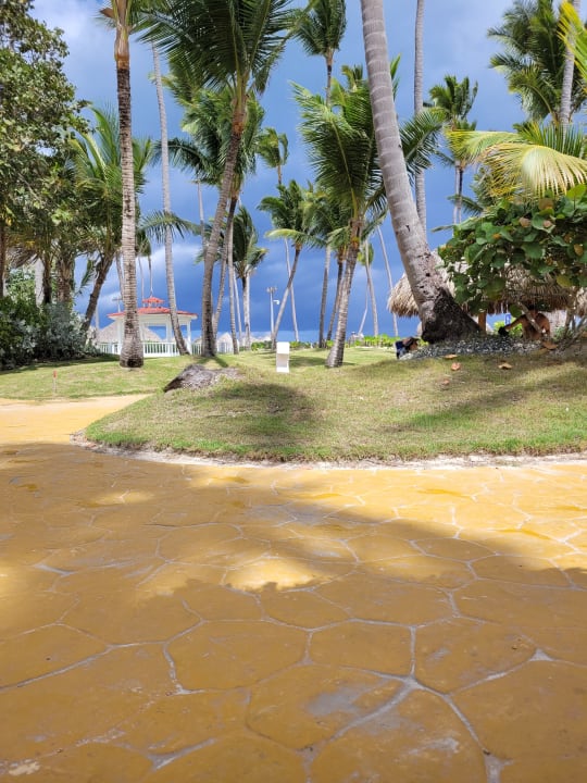 Pool Meliá Caribe Beach Resort-All Inclusive