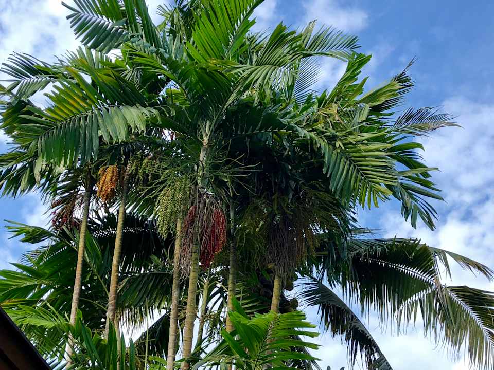 Ausblick Hotel AKA Resort Hua Hin