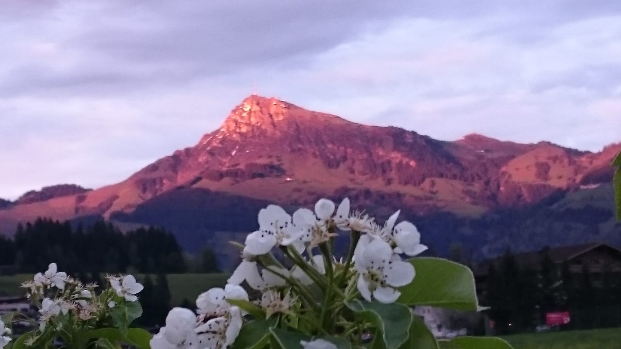 Ausblick Chalet Garni Hotel Zimmermann