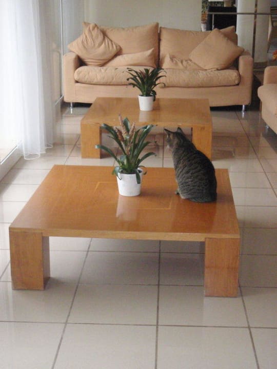 Katze Bikini Island & Mountain Hotel Es Trenc
