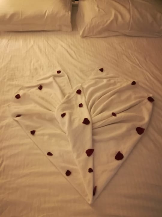 Zimmer IC Hotels Green Palace