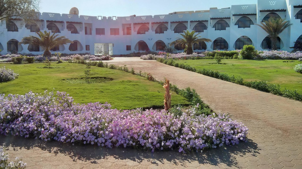 Ogród Three Corners Equinox Beach Resort