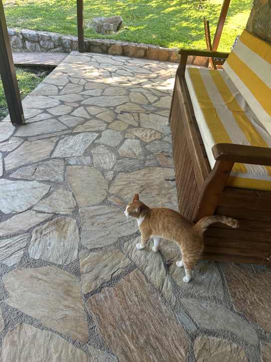 Gartenanlage Sakin Vadi Villas