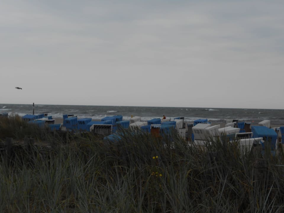 Strand Damp Ostsee Resort & Ferienpark
