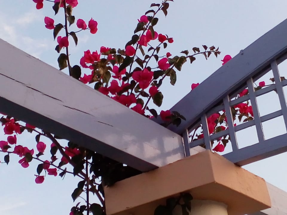 Außenansicht Hotel Serita Beach