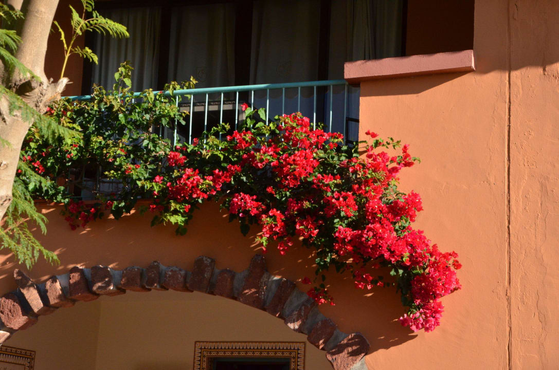 Eine der unzähligen Blumenranken Hotel Quinta Splendida Wellness & Botanical Garden