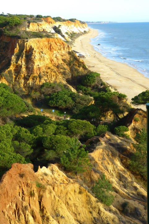 Blick auf die Meia Praia PortoBay Falésia