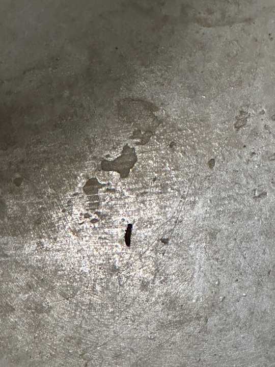 Zimmer Meliá Caribe Beach Resort-All Inclusive