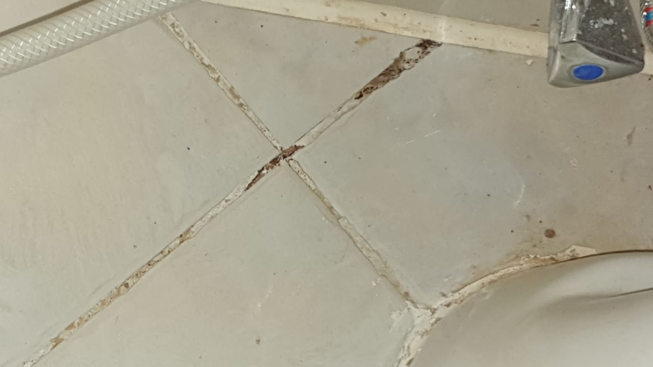 Zimmer Jaz Makadi Saraya Resort