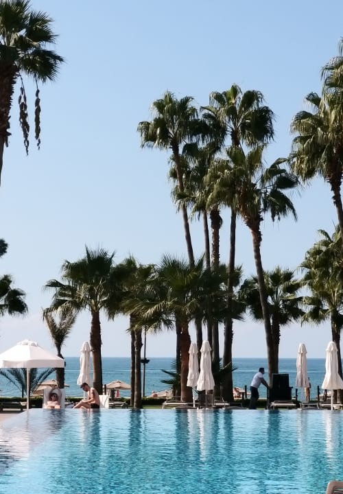 Pool Acanthus Cennet Barut Collection