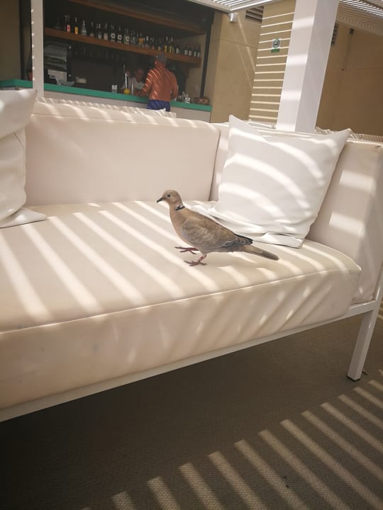 Sonstiges Hotel Grand Teguise Playa