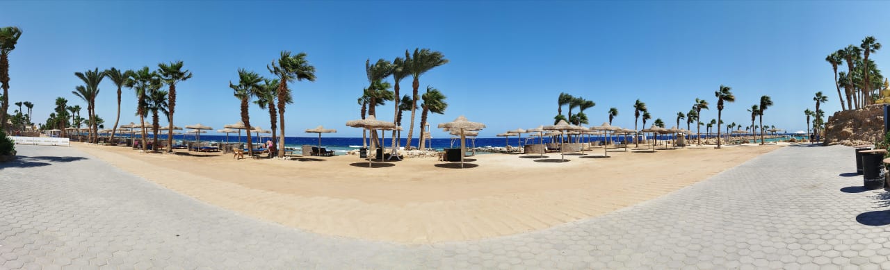 Ausblick Pickalbatros Citadel Resort