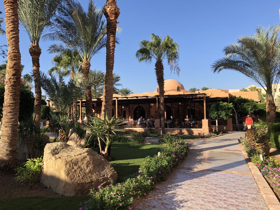 Garten Jaz Makadi Oasis Resort