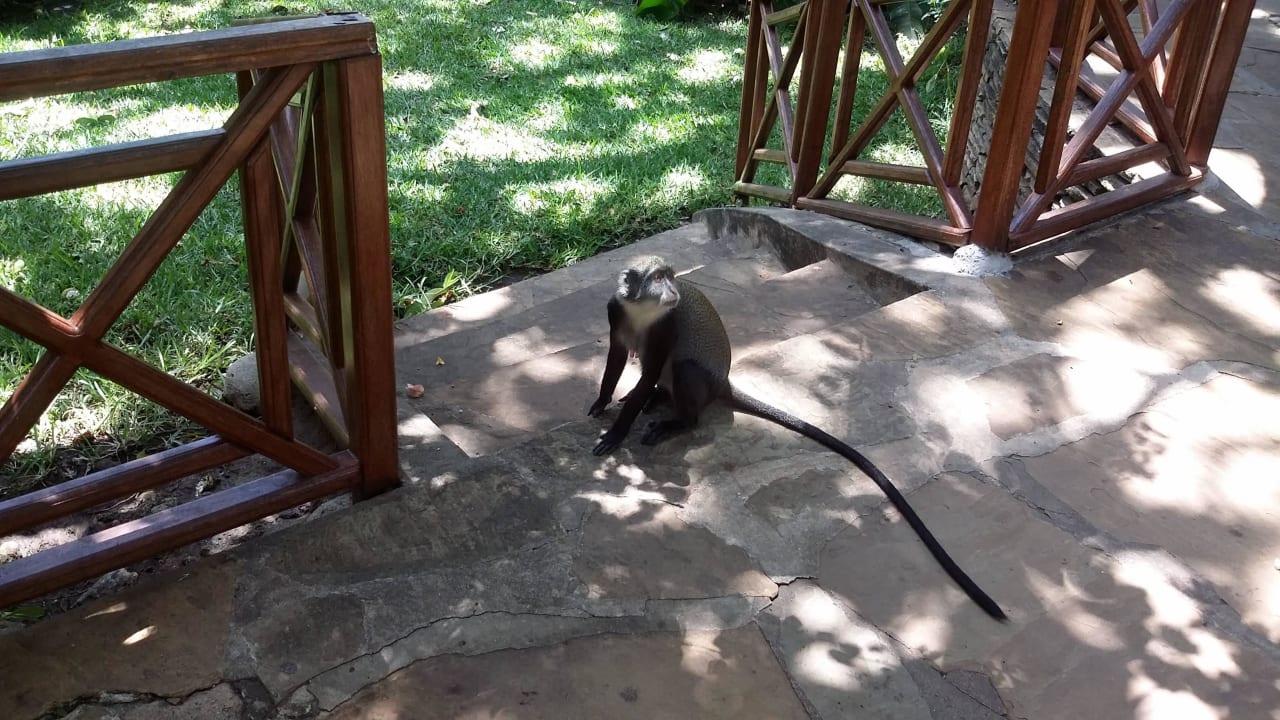 Mein Freund Neptune Paradise Beach Resort & Spa