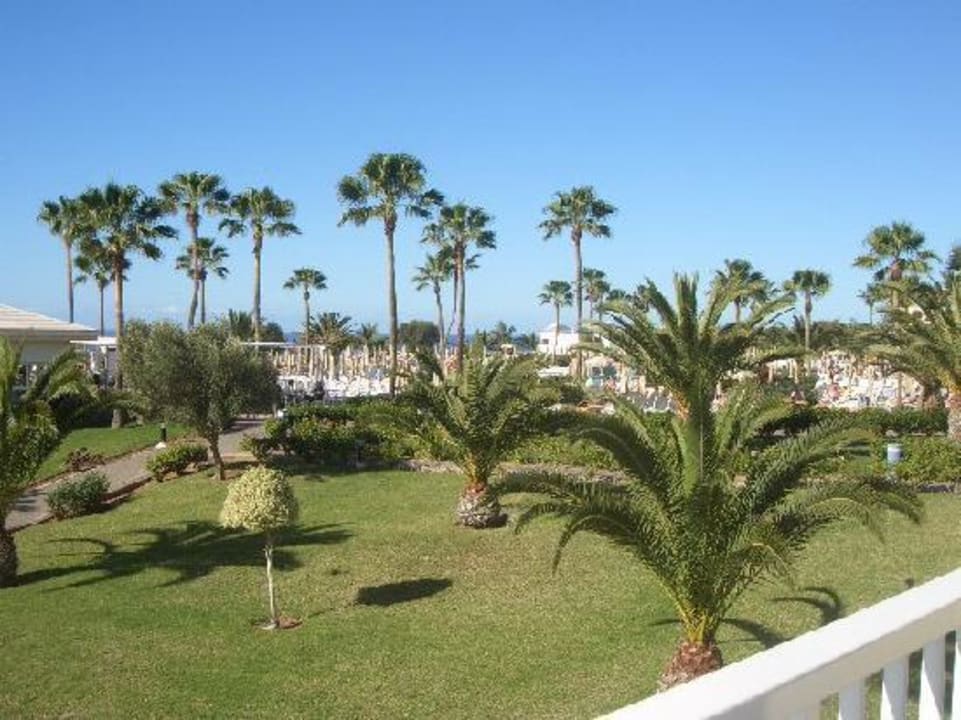 Garten Hotel Riu Gran Canaria