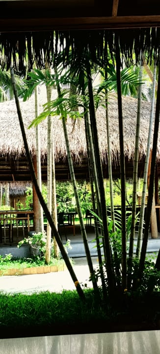 Gartenanlage Kuramathi Maldives