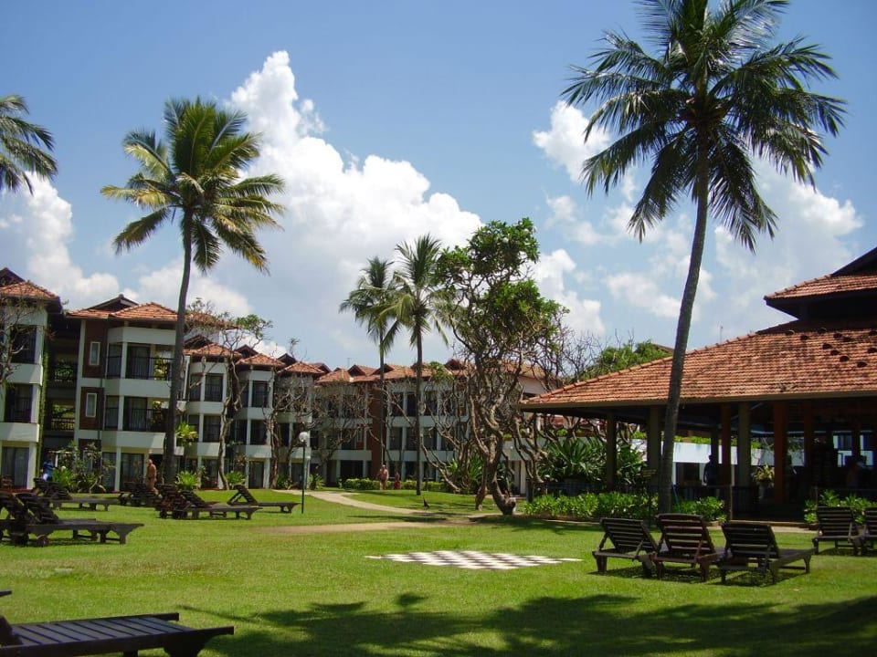 Liegewiese und Hotel (nördlich) Club Hotel Dolphin