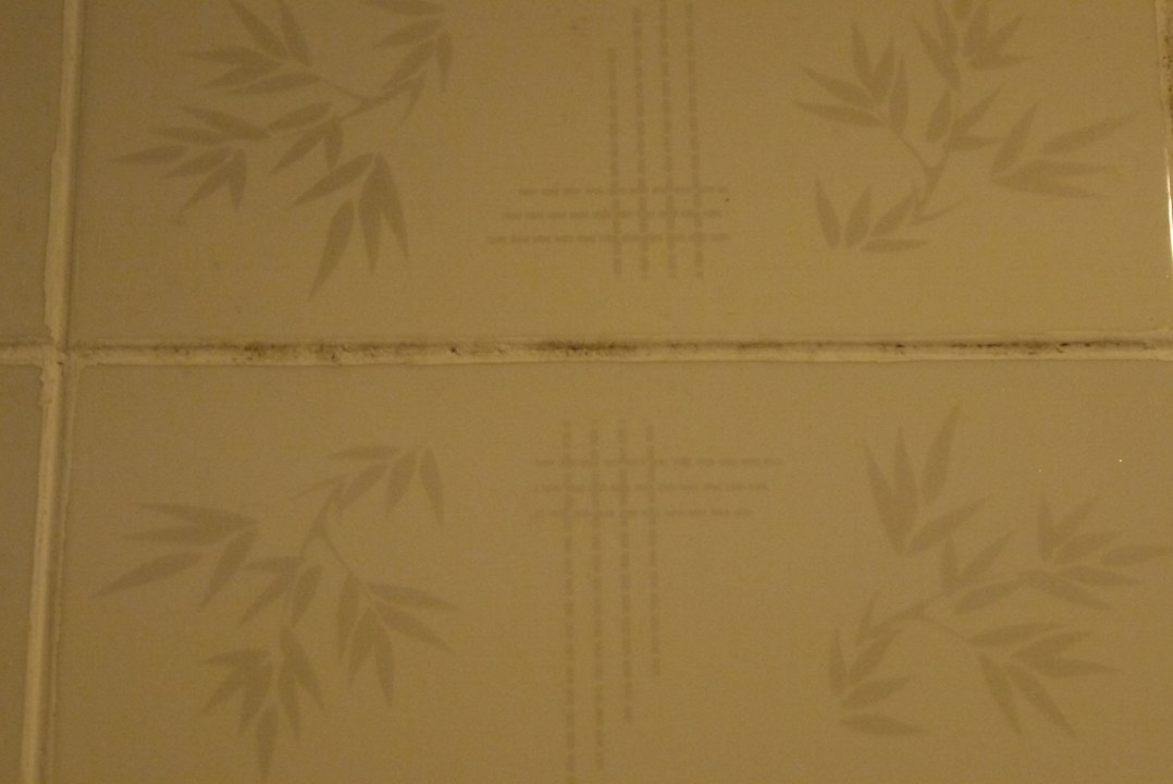 Dirty tiles in bathroom 602 Hotel Thaison Palace