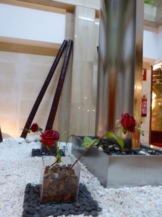 Sonstiges allsun Hotel Bella Paguera