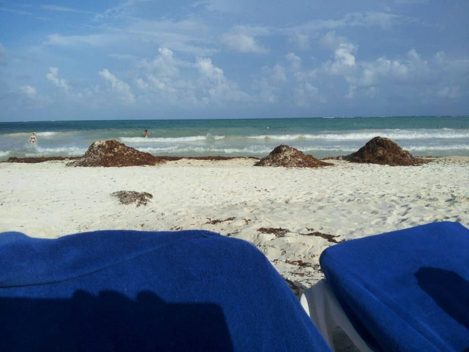 Hotel Catalonia Playa Maroma Catalonia Playa Maroma