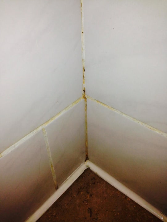 Im Bad schwarzer Schimmel Mövenpick Resort & Spa El Gouna