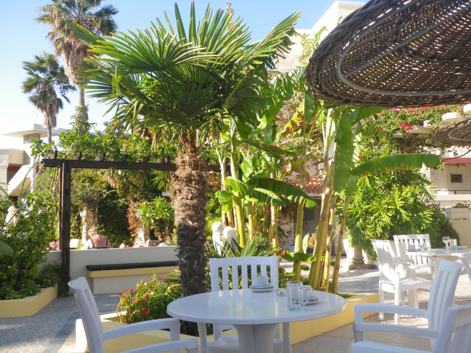 Poolbar Apollon Hotel