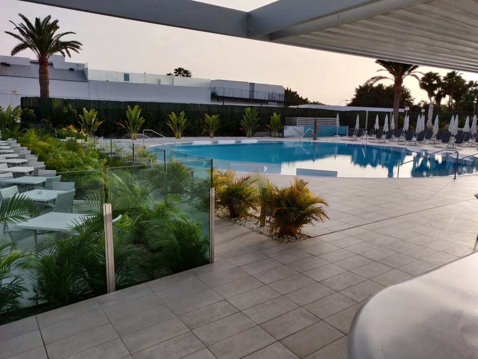 Pool Canary Garden Club