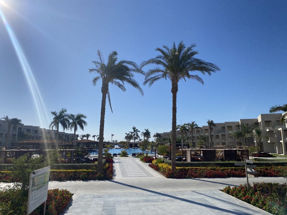 Pool Steigenberger Resort Ras Soma