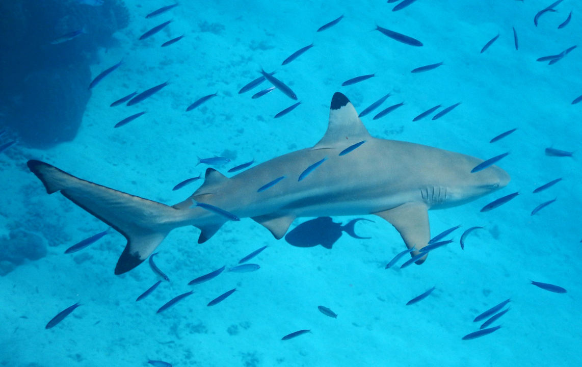 Sport & Freizeit Constance Moofushi Maldives